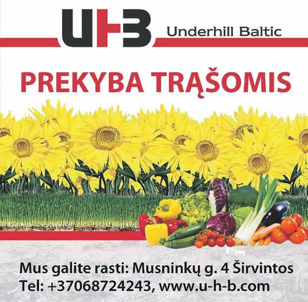 Paskutinis puslapis 12/ Iš gydytojų užrašų po visą kambarį. 20. Pacientas buvo nusiųstas į išrašymo skyrių be drabužių.