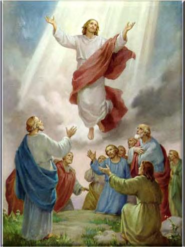 Blessed Sacrament 7:00 PM Prayer Group-Adoration (Spanish) 7:45 PM Novena to Our Lady of Perpetual Help (Spanish) First Fridays