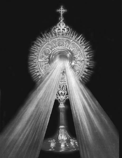 Family (Jane Bodzioch) Novena to St. Jude Tuesday - Wtorek - April 10 7:30 am + Ks.