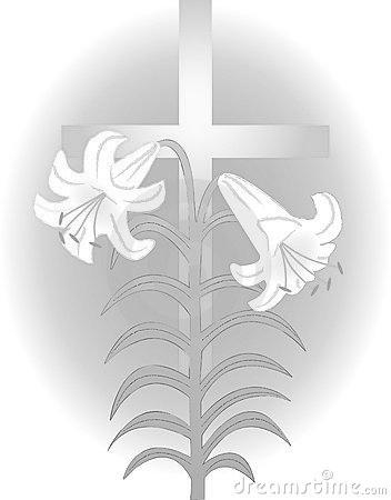 Niech Bóg wynagrodzi wszystkim, którzy aktywnie byli zaangażowani w oprawę muzyczną, w posługe Liturgiczną (ministraci, lektorzy, Kolektorzy) oraz inne prace. Ks.
