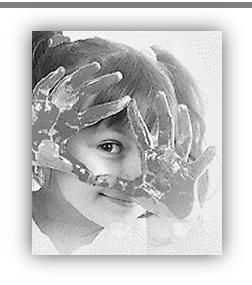 imanche 23 avril 2017 onsultez notre magazine pour découvrir des activités intéressantes!