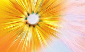 JULY 09, 2017 Our Lady of the Assumption Page 3 Available Mass Intentions for the following weeks are: JULY 7:30AM: July 17 th, July 21 st, July 28 th. 7:45AM: July 23 rd, July 30 th.