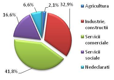 imobiliare, activităţi profesionale, ştiinţifice şi tehnice, activităţi de servicii administrative şi activităţi de servicii suport, alte activităţi de servicii.