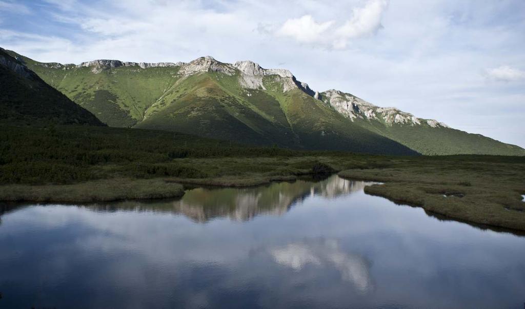 Kamizelki
