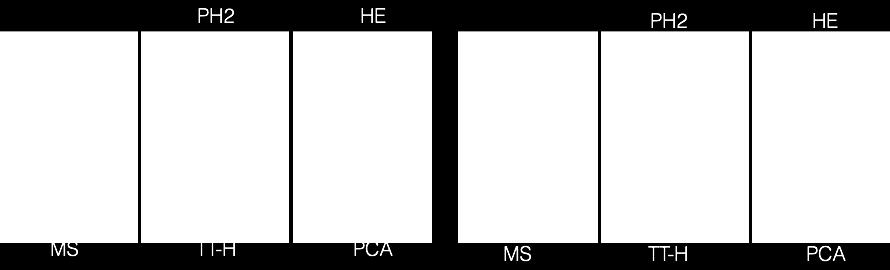 00 for RH and MS methods, 0.75-1.00 for TTH and 0.70-1.00 for PCA. TTH method is statistically the best but there are cases where other methods give better results as shown in Fig.