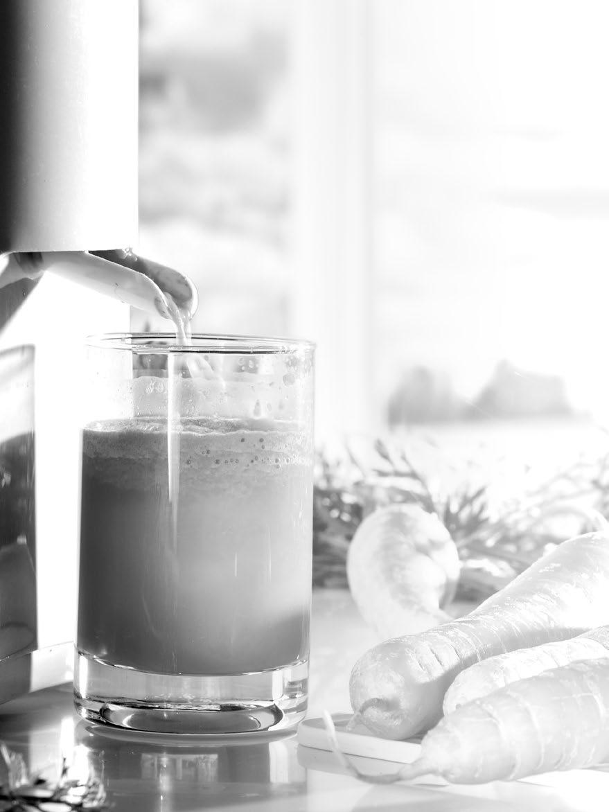 Slow juicer TSA3220 Bedienungsanleitung Owner s manual