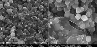 Photogram of zeolite 5A before (left side) and after (right side) experiments in dynamic system (electron scanning microscope, magnification 10