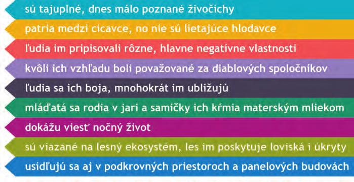 Európska noc netopierov Občianske združenie Spoločnosť pre ochranu netopierov (SON) je mimovládnou organizáciou sídliacou v Bardejove. Členov má po celom Slovensku.