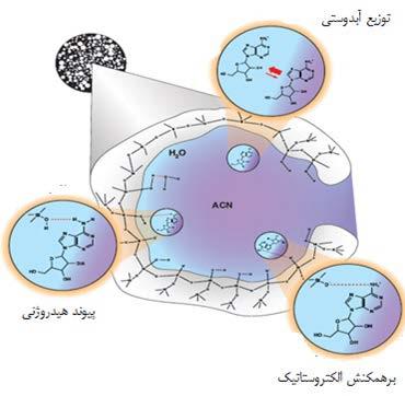 مقاالت 10 فازهای متحرک در کروماتوگرافی مایع با برهمکنش آبدوستی فاز متحرک معمولی در این روش حاللهای آلی قطبی امتزاجپذیر مانند استونیتریل و آب است ]1[.