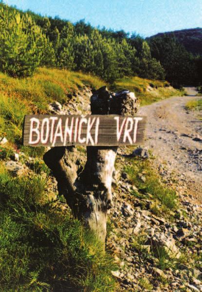 290 10, 2002 JOŠ JEDAN VELEBITSKI BOTANIÈKI VRT VLADO PRPIÆ, Baške Oštarije, Velebit Poznato je da je planinski botanièki vrt u Modriæa docu na sjevernom Velebitu osnovan 1967. godine.