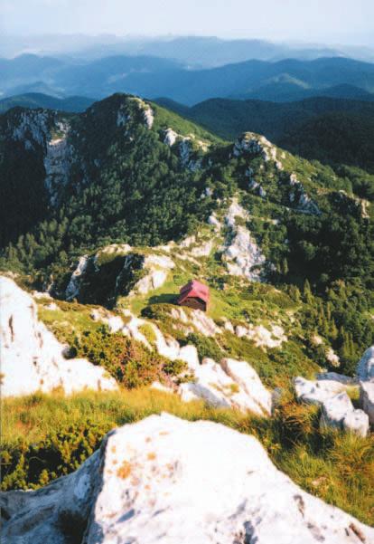 10, 2002 293 POGLED S RISNJAKA NE MOQE SE IZBRISATI IZ SJEÆANJA JELENA KOŠÆAK, Varaqdin Poštovani gospodine uredinèe! Ja sam Jelena Košæak.