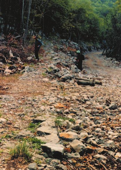 10, 2002 295 Mjesto gdje je cesta presjekla Premužiæevu stazu foto: Vlado Prpiæ divlja kampiranja uglavnom stranaca na najzaštiæenijim mjestima, penjanje po kukovima bez dozvole opet onih koji ne