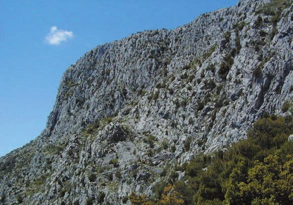 10, 2002 279 DRVENIÈKE STINE BRANKO MEŠTRIÆ, Zagreb Gotovo svako naselje na dalmatinskoj obali ima od davnina uhodane puteve u svoje zaleðe, kojima su pastiri gonili svoja stada u hladniju i plodniju