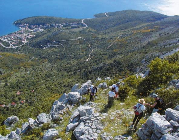 Takvu stazu ima i malo mjesto Drvenik, koje je s obronaka planine sišlo u dvije vale na obali, a danas je uglavnom poznato kao trajektna luka za Suæuraj na Hvaru.