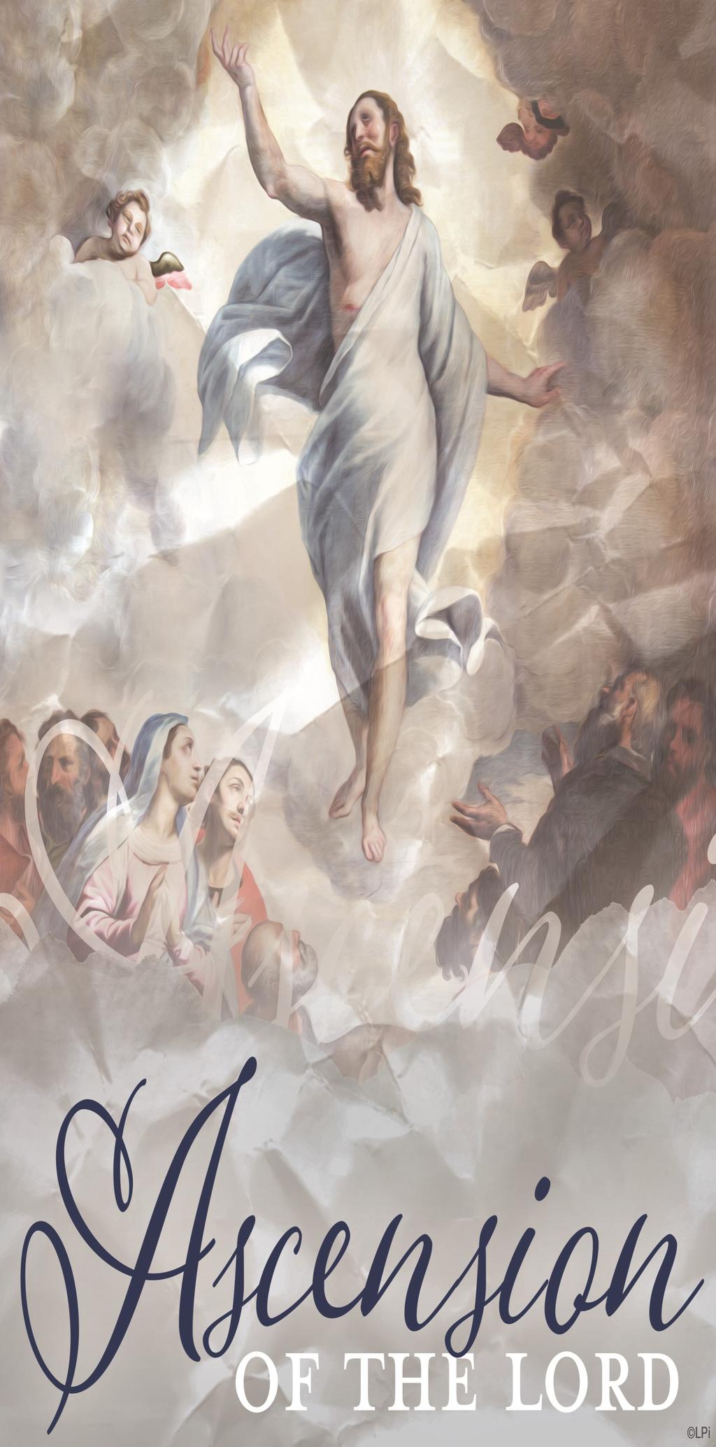 Polish PARISH PHONE NUMBER (847) 827-9220 PARISH E-MAIL: stthomasbecket@stbmp.org PARISH STAFF Pastor: Rev. Chris Kulig Administrator: Rev. Curt Lambert Pastor Emeritus: Rev.