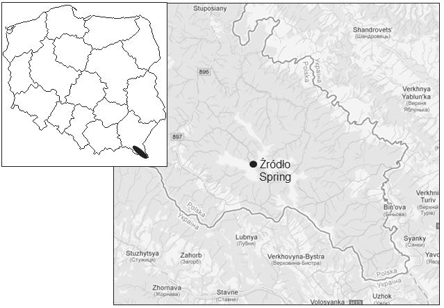 J. Żelazna-Wieczorek, P. Knysak Okrzemki (Bacillariophyta)... 323 Ryc. 1.