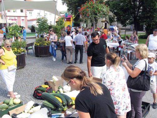 V rámci prímestských výletov absolvovali tábor Túlavé topánky, Športový a Krížom-krážom. Počas troch turnusov nebola núdza o smiech, zábavu aj relax.