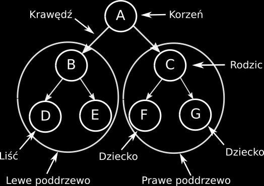 edge) - kolejny ważny element drzewa: łączy ze sobą wierzchołki, aby zaznaczyć relację między nimi każdy wierzchołek (oprócz korzenia) ma jedną krawędź wchodzącą, łączącą go z rodzicem każdy