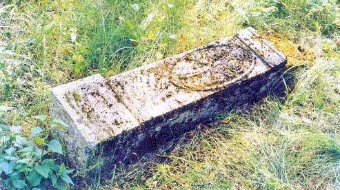 Voruta 2013 m. vasario 16 d. Nr. 4 (768) Mažosios Lietuvos panemuniais, pamariais Pagulbiniai ir Antgulbiniai (Baltriškiai). II d. Knygos, bitės ir likimai Dr.