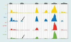 RA-seq Alternatywny