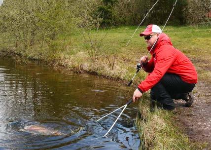 KOŁOWROTKI MT 4 WĘDKI MT 6 AKCESORIA MT 12 Wystarczające jest tylko to, co najlepsze - Magic Trout.