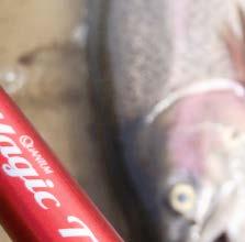 g 404,00 1494 390 Magic Trout Univers 3,90 m 3 10-40 g 1,39 m 325 g