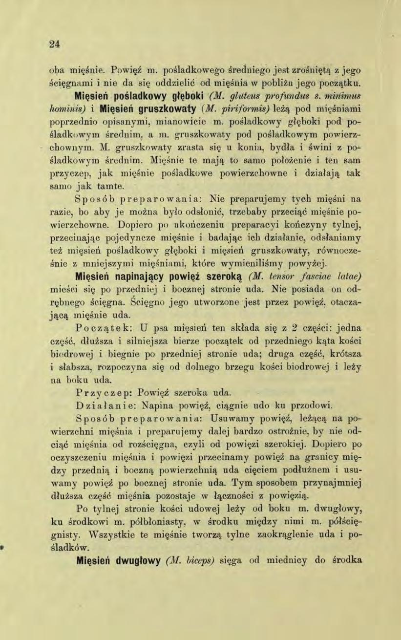 24 oba mięśnie. Powięź m. pośladkowego średniego jest zrośniętą z jego ścięgnami i nie da się oddzielić od mięśnia w pobliżu jego początku. Mięsień pośladkowy głęboki (M. gluteus profundus s.