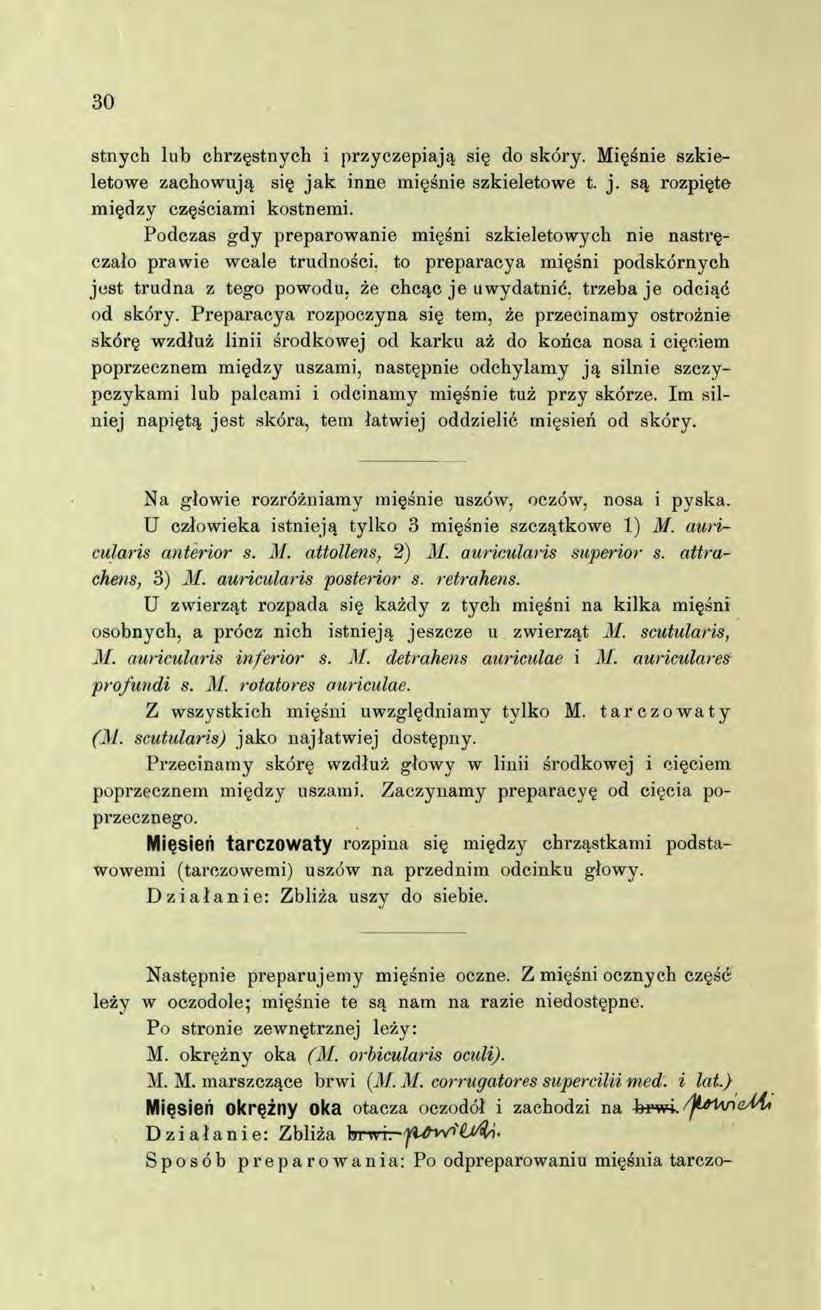 30 stnych lub chrzęstnych i przyczepiają się do skóry. Mięśnie szkieletowe zachowują się ja k inne mięśnie szkieletowe t. j. są rozpięte między częściami kostnemi.