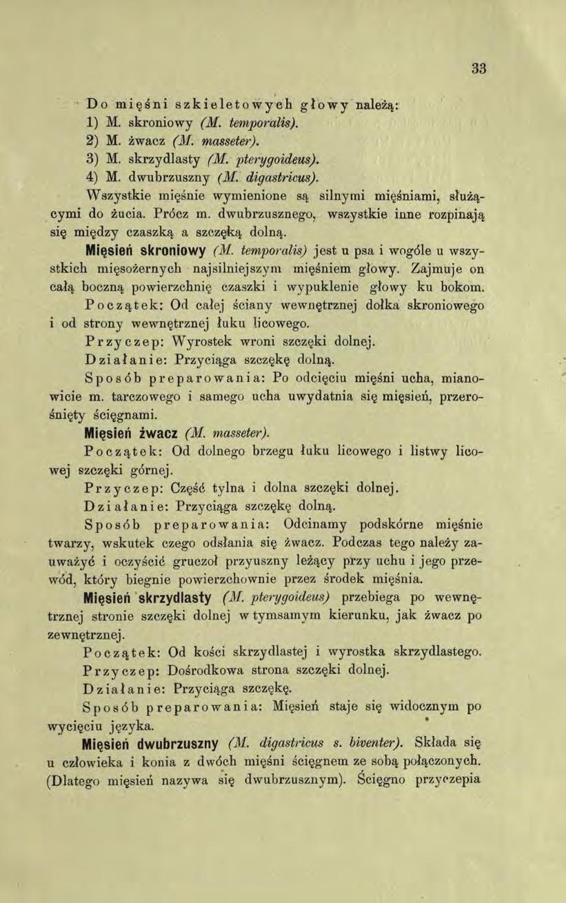 D o mięśni szkieletowych głowy należą: 1) M. skroniowy (M. temporalis). 2) M. żwacz (M. masseter). 3) M. skrzydlasty (M. pterygoideus). 4) M. dwubrzuszny (M. digastńcus).