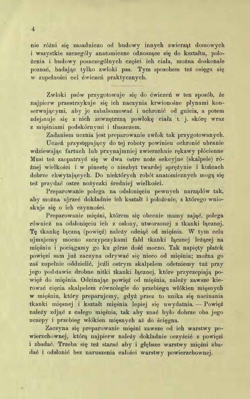 4 nie różni się zasadniczo od budowy innych zwierząt domowych i wszystkie szczegóły anatomiczne odnoszące się do kształtu, położenia i budowy poszczególnych części ich ciała, można doskonale poznać,