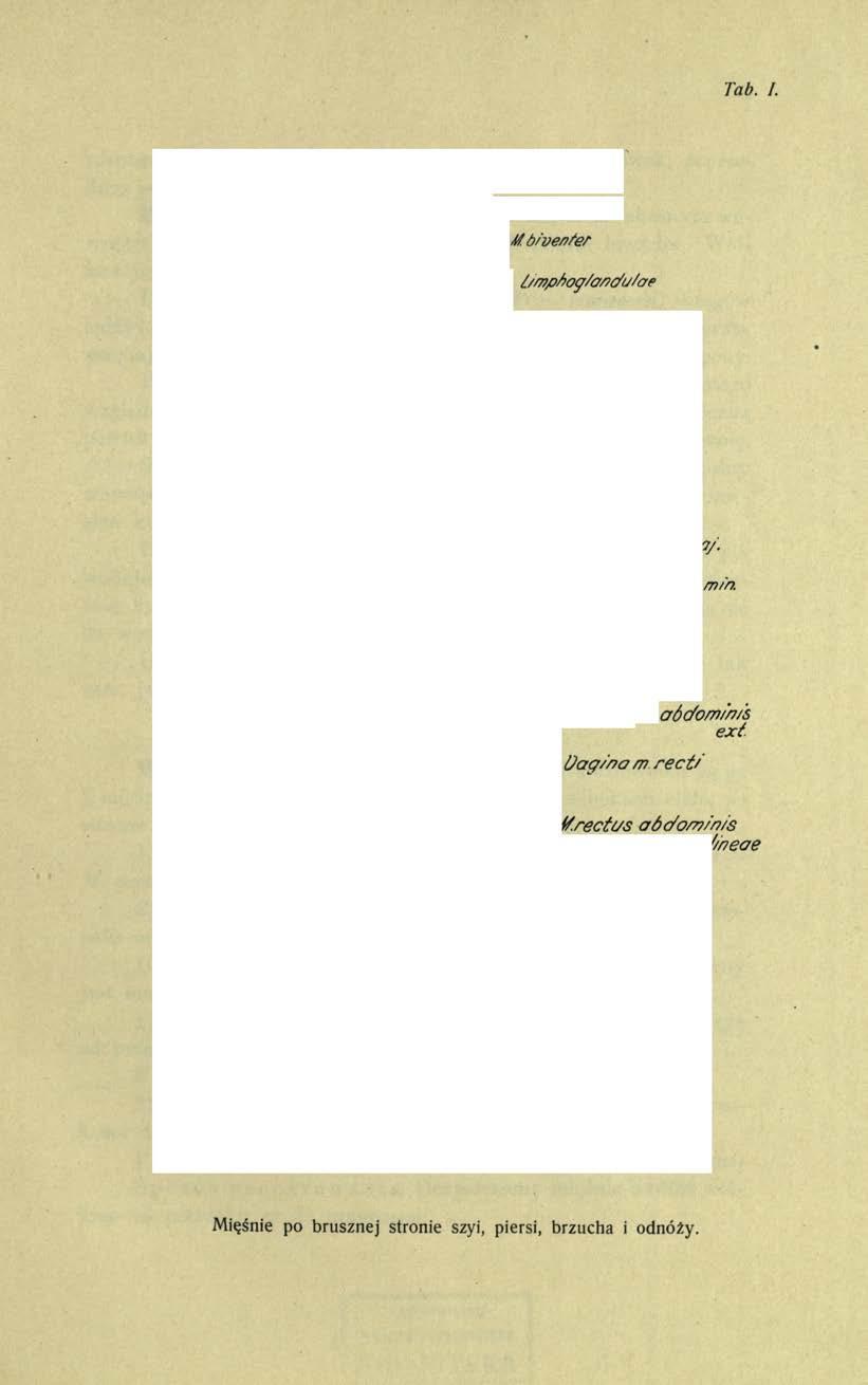 Tab. I.