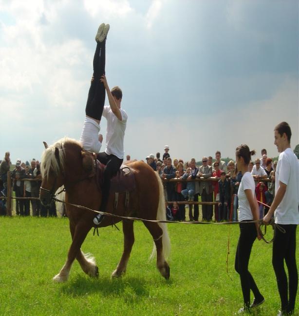 gospodarskich