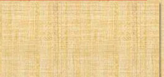 (English) (only one mass) First Fridays 7:00 PM (Polish) Confessions: Saturday 4:00 4:45 PM (Trilingual) 6:00 6:30PM (Trilingual)