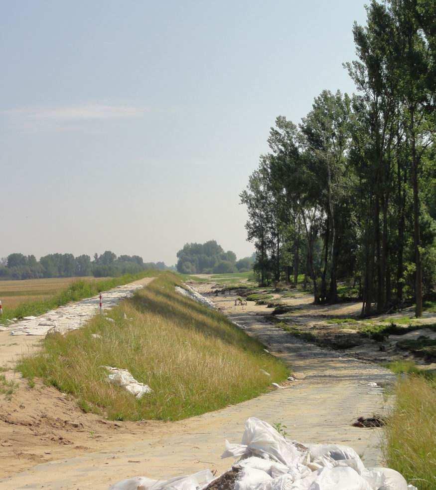 Rys. 2. Uszkodzenia stopy i skarpy omawianego lewobrzeżnego wału Wisły, odcinek 1-szy (fot.