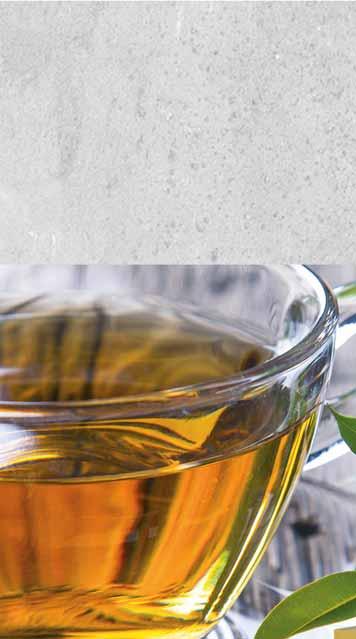 kopert 29516903 HERBATA LIPTON EARL GREY 100