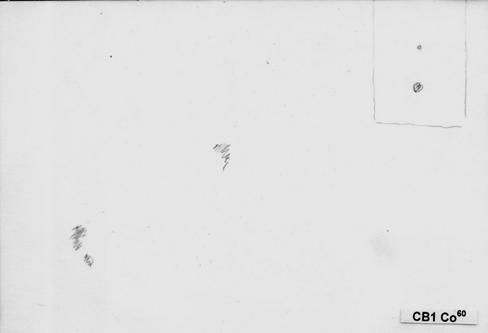 Rys. 4.