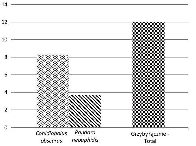 Progress in Plant Protection 58 (2) 2018 5 Tabela 2. Gatunki grzybów powodujące mykozy mszyc Metopolophium dirhodum na zbożach w latach 2008 2009 Table 2.