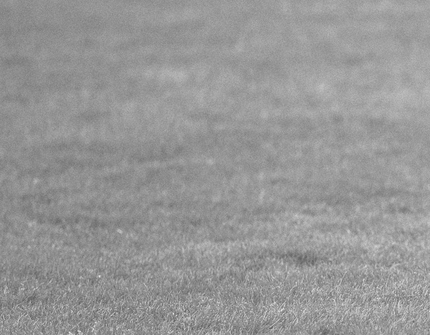 PRZEDMOWA Słownik jest kierowany do miłośników piłki nożnej. W 2018 roku na rosyjskich stadionach odbędą się XXI Mistrzostwa Świata w Piłce Nożnej.