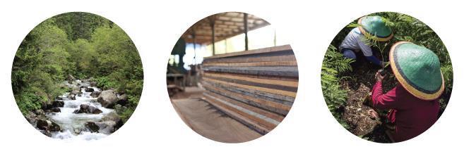 FSC-STD-60-004 V1-0  