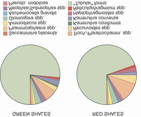 256 S. KENDER ET AL. Fig. 8. Comparison of the average relative abundance of deepwater agglutinated foraminifera for the green and red shale horizons in all studied samples (except Z8 & Z9) Fig. 7.