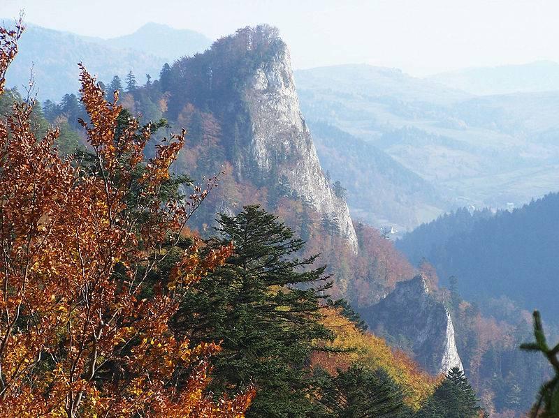 Pieniny Sokola Perć* przejście piesze szlakiem niebieskim trasą Głównego Szlaku Pienińskiego, np.