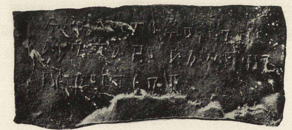 II, 10 Ryc. 8.