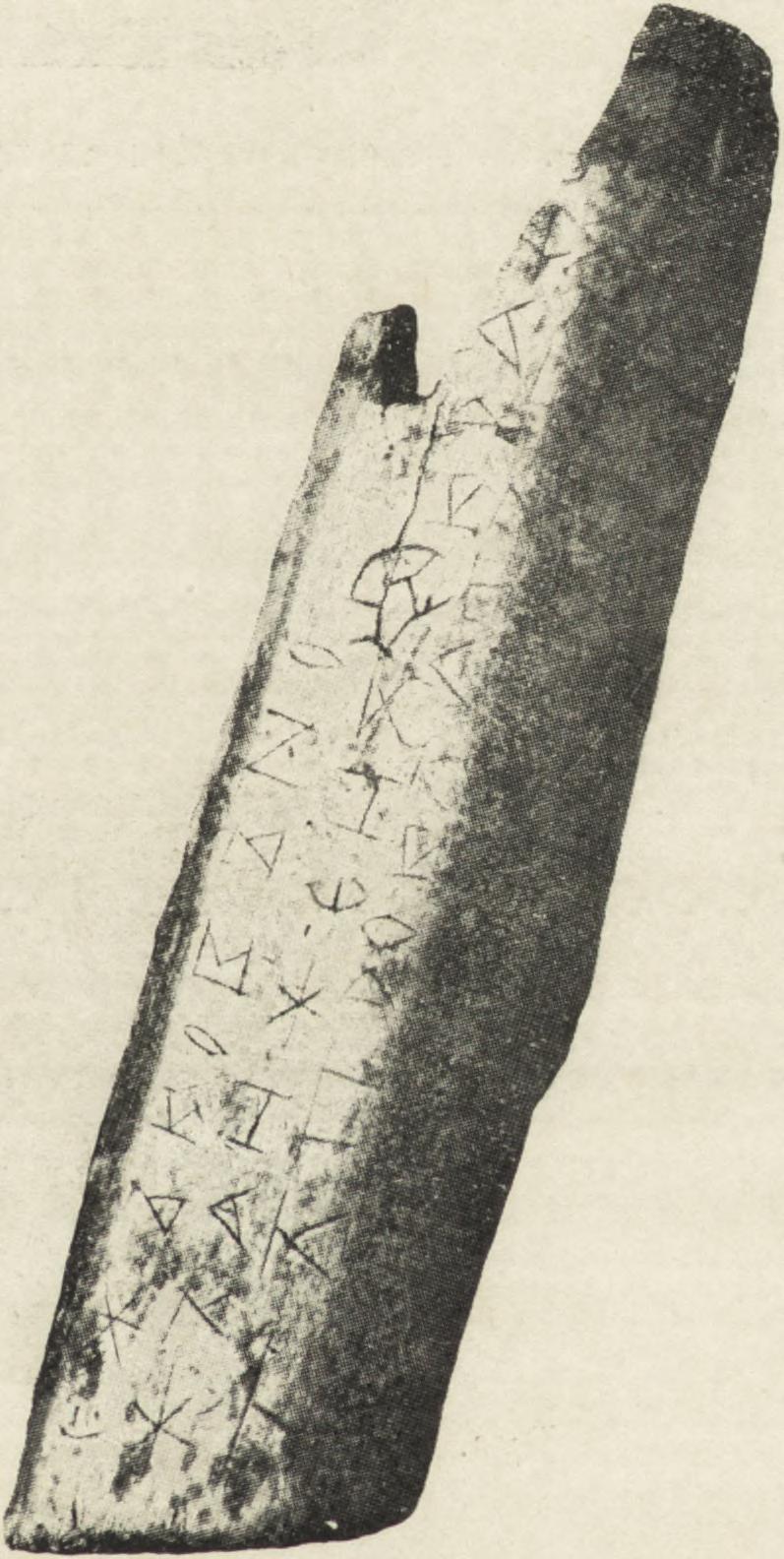 Ryc. 2. Rękojeść drohicka.