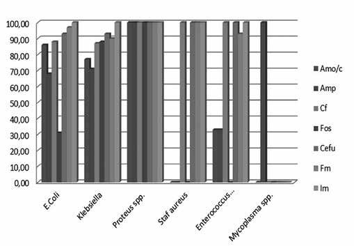 (Quinolones are excluded because they are not recommended for pregnant women). Figure 3.