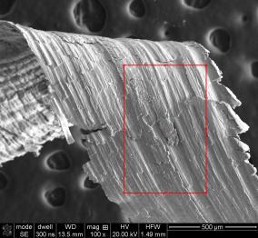 Corrosion of ammunition dumpedin the Baltic Sea Korozja amunicji zatopionej w Morzu Bałtyckim Te dane zostaną odniesione do wagi przed ekspozycją korozyjną i stanowią podstawę od obliczenia szybkości