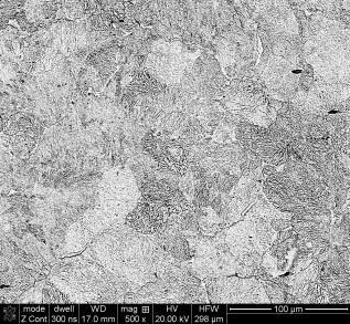 157 b) acquainted real body with marked points of samples collection for determining chemical composition and toughness, and leading ring.