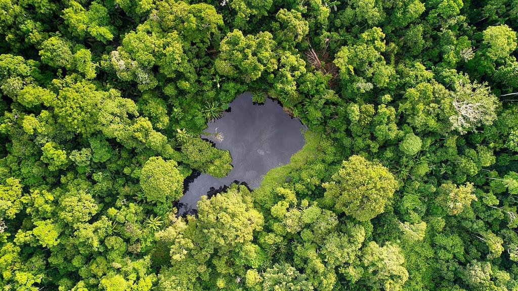 DZIEŃ 12 AMAZONIA CUSCO PUERTO MALDONADO Po śniadaniu przelot do Puerto Maldonado. Czas na przygodę w dzikiej amazońskiej dżungli.