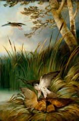 Oil, canvas 201 x 145 cm 2011/28706-1.3 2. HAVELL EDMUND Head keeper to Sir John Cope c. 1840. Oil, canvas, 176.