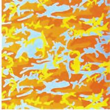 WARHOL Kamuflaż 96,52 x 96,52 cm Oznaczenie: 63/80 Kraj kradzieży: USA 2011/5865-1.7 14.