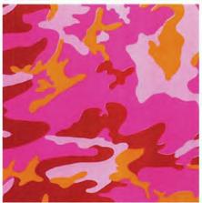 WARHOL Camouflage 96.52 x 96.52 cm Markings: 63/80 Country of theft: United States INteRpOL NumbeR : 2011/5865-1.